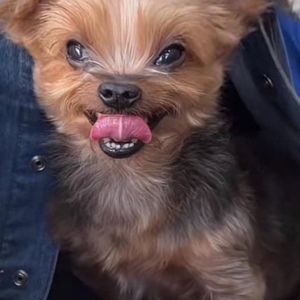 Meet your Posher, Malia